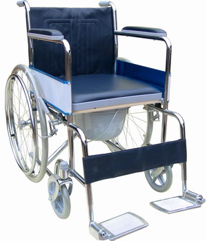 LK6005W Commode Chair